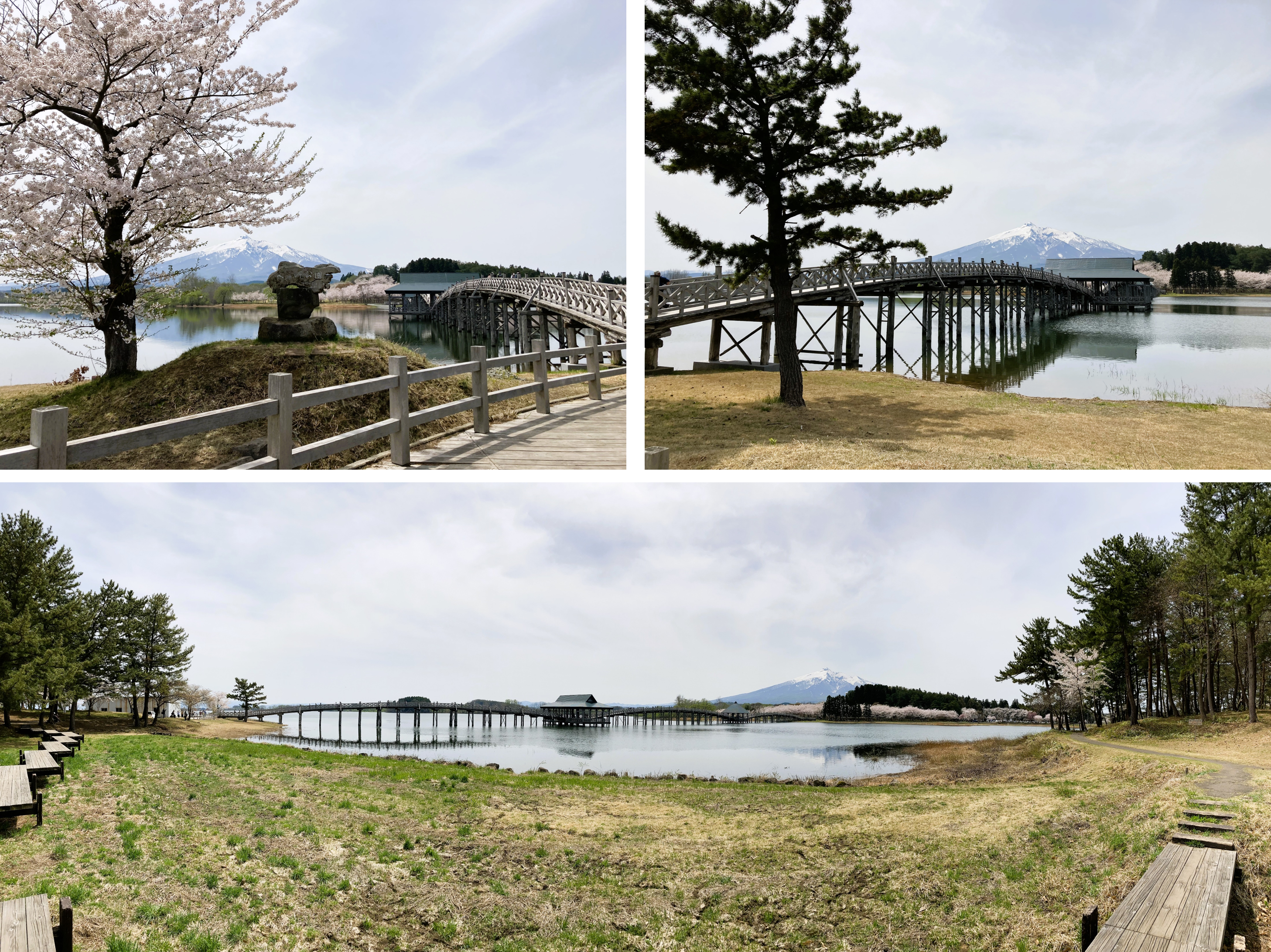 鶴の舞橋は津軽富士見湖に架けられている！鶴田町の観光名所「鶴の舞橋」は、「富士見湖パーク」に隣接した「津軽富士見湖」に架けられています。鶴田町のシンボルとして多くの人々に愛され、訪れる旅行客に人気の観光地です。こちらのページでは、「鶴の舞橋」や「津軽富士見湖」「富士見湖パーク」への行き方（アクセス方法）についてご案内しています。車が無い方でも安心！鶴田町の観光はタクシーで自由自在！電車の到着時刻にあわせてJR陸奥鶴田駅ではタクシーが待機しております。運転手とおしゃべりして地元（ローカル）の情報をGETできるのもタクシーの魅力。富士見湖パークのあとは美味しいお料理のお店へ行ってみましょう。