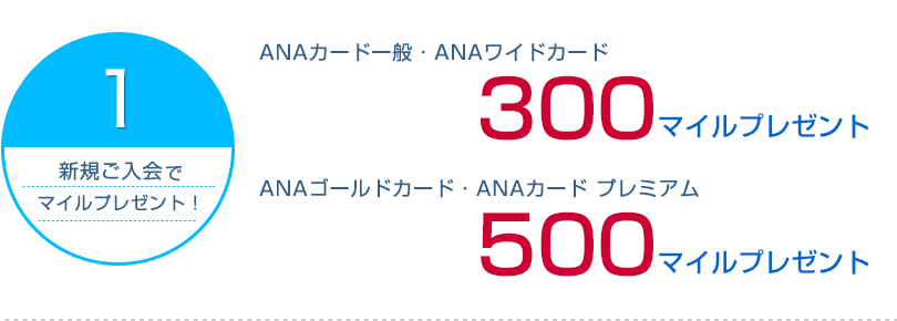 ANAカード家族会員新規入会でANAマイルが貯まる