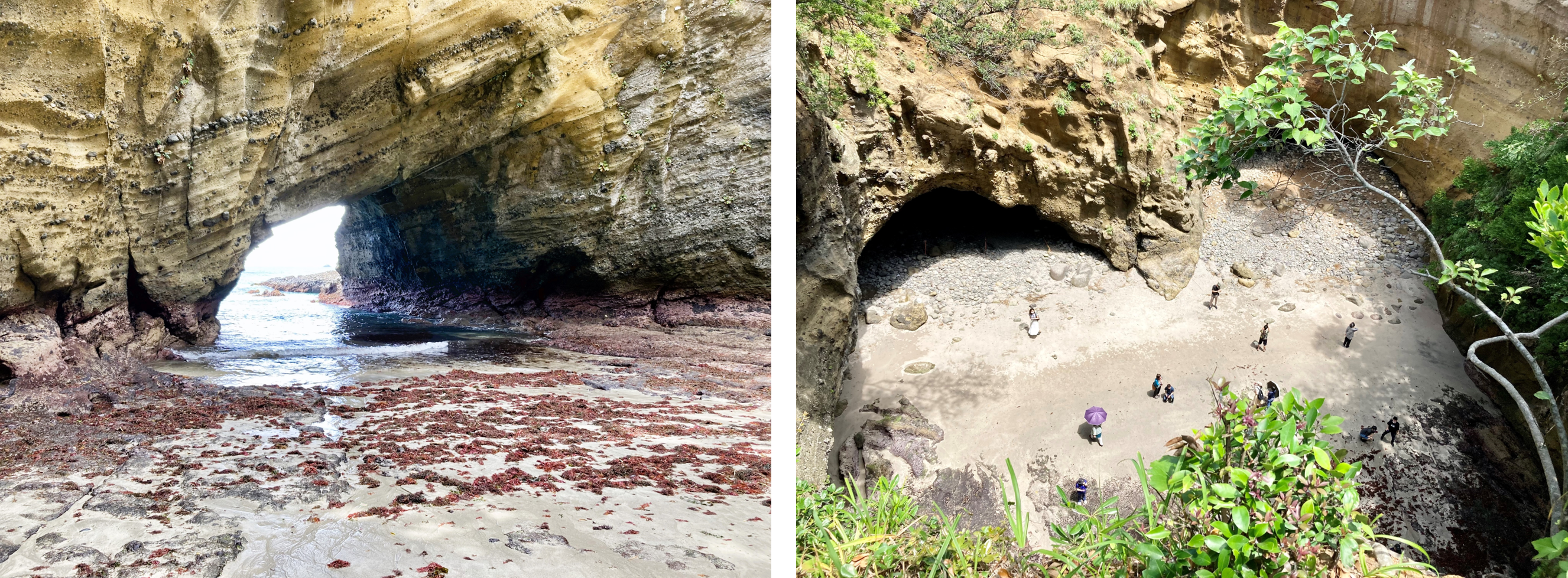 波が海岸の波にうちつけると、崖の弱い部分（柔らかい地層や断層など）が削られていき、洞窟ができることがあります。こうしてできる海の洞窟を海食洞（かいしょくどう）と呼びます。田牛（とうじ）の龍宮窟（りゅうぐうくつ）は、おおきな海食洞の天井が一部崩れて、直径40～50メートルほどの天窓が開いたものです。龍宮窟の天窓は伊豆の各地にあるものの中でも最大級であり、道路沿いの入口から洞窟を通って天窓の下に立つこともできます。洞窟の壁には、海底火山から噴出した黄褐色の火山れきが美しく層をなし、天窓の底を満たす青い海水とのコントラストが神秘的な場所です。また、龍宮窟を見下ろす遊歩道も整備されていて、この神秘的な海食洞をさまざまな場所から観察することができます。木々の間から遠く見える伊豆諸島の姿もステキです。